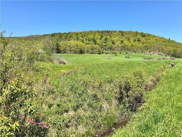 463 Cemetery Rd, Seward, NY 12043 - photo 1