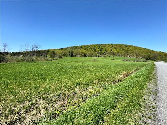 463 Cemetery Rd, Seward, NY 12043 - photo 2