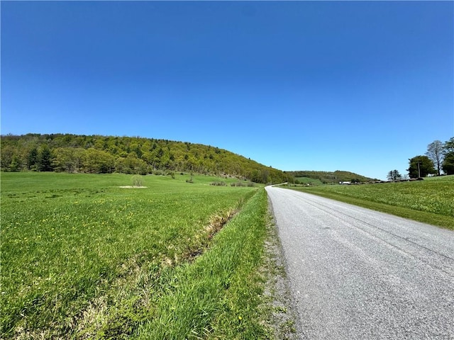 463 Cemetery Rd, Seward, NY 12043 - photo 3