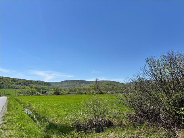 463 Cemetery Rd, Seward, NY 12043 - photo 4