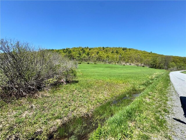 463 Cemetery Rd, Seward, NY 12043 - photo 6