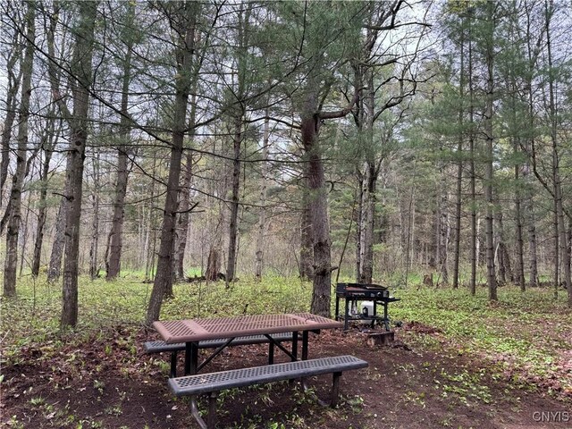 8386 Hoffman Rd, New Bremen, NY 13367