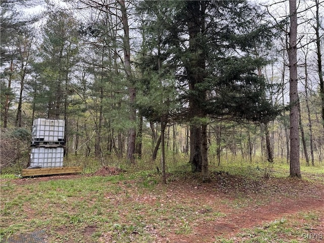 8386 Hoffman Rd, New Bremen, NY 13367