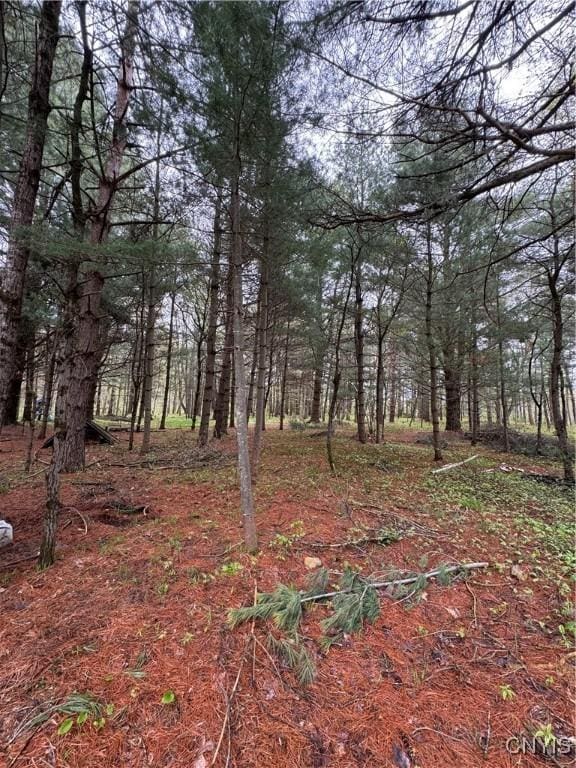8386 Hoffman Rd, New Bremen, NY 13367