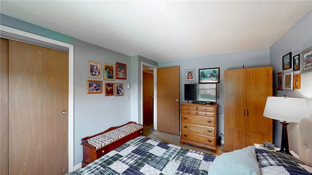 6 Club View Dr, Bath, NY 14810 - carpeted bedroom with a closet
