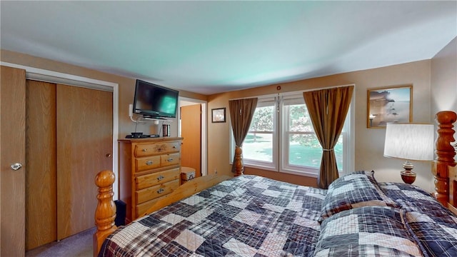 6 Club View Dr, Bath, NY 14810 - carpeted bedroom featuring a closet