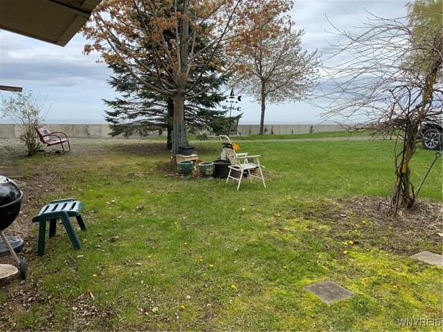 13202 Park Rd, Carlton, NY 14571 - view of grassy yard