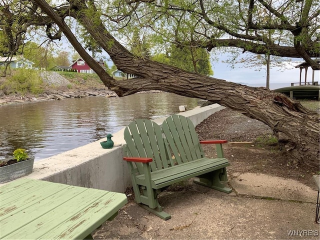 13202 Park Rd, Carlton, NY 14571 - surrounding community with a water view