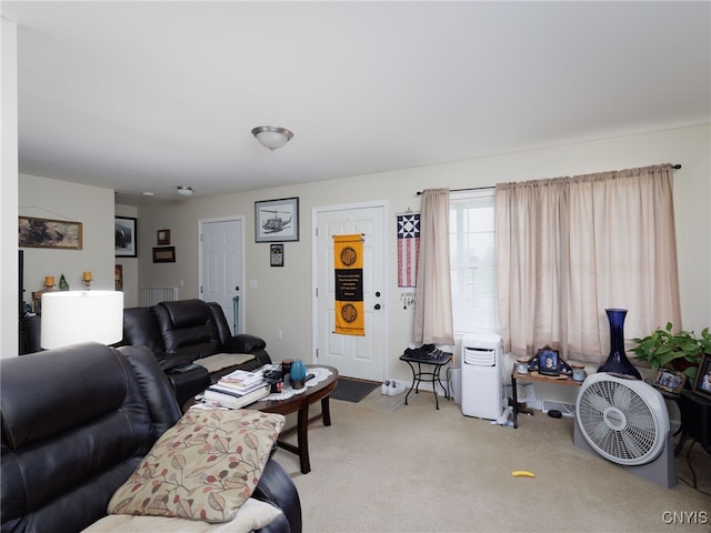 10029-10033 Ash St, Pamelia, NY 13601 - living area featuring carpet flooring and radiator heating unit
