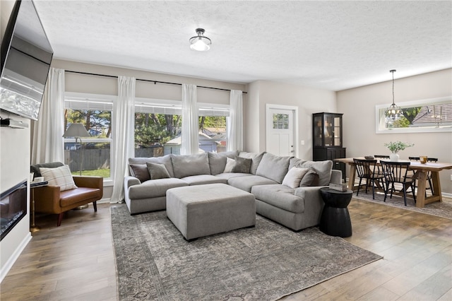 living room featuring wood finished floors and a textured ceiling