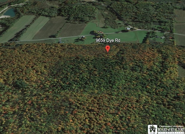 9659 Dye Rd, Villenova, NY 14062