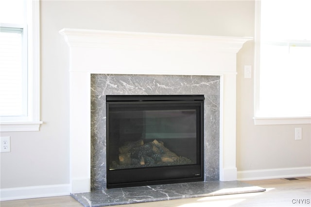 522 Chenango Hill Dr, Hamilton, NY 13346 - detailed view of a premium fireplace, wood finished floors, and baseboards