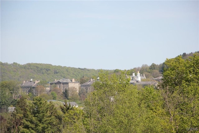 522 Chenango Hill Dr, Hamilton, NY 13346 - view of yard featuring a wooded view