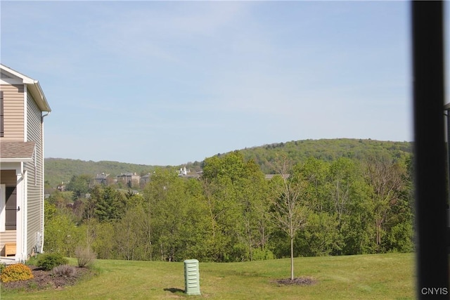 522 Chenango Hill Dr, Hamilton, NY 13346 - mountain view with a forest