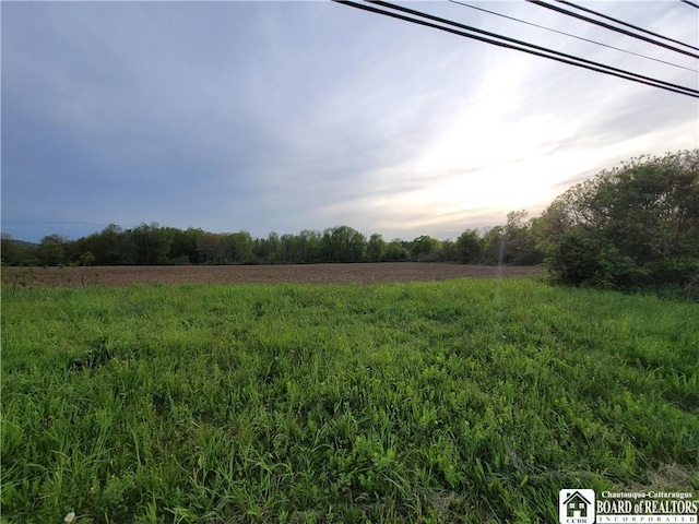 584 Warren Rd, Carroll, NY 14738 - view of yard featuring a view of rural / pastoral area