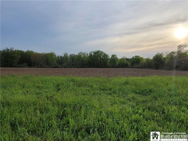 584 Warren Rd, Carroll, NY 14738 - view of nature featuring rural landscape