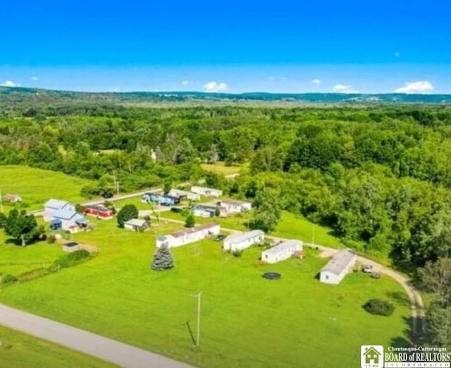 584 Warren Rd, Carroll, NY 14738 - aerial view of a forest