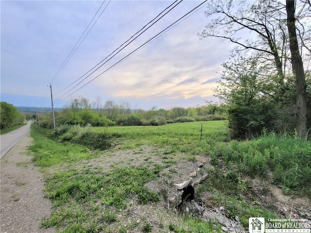 584 Warren Rd, Carroll, NY 14738 - view of yard featuring a rural view