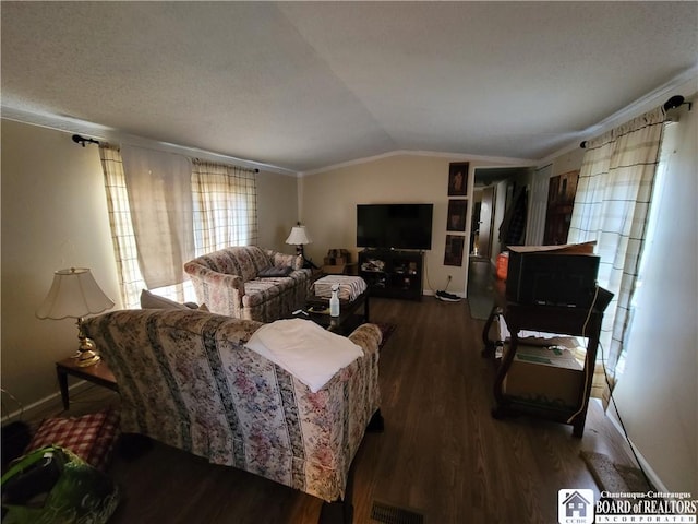 584 Warren Rd, Carroll, NY 14738 - living area featuring lofted ceiling, wood finished floors, and baseboards