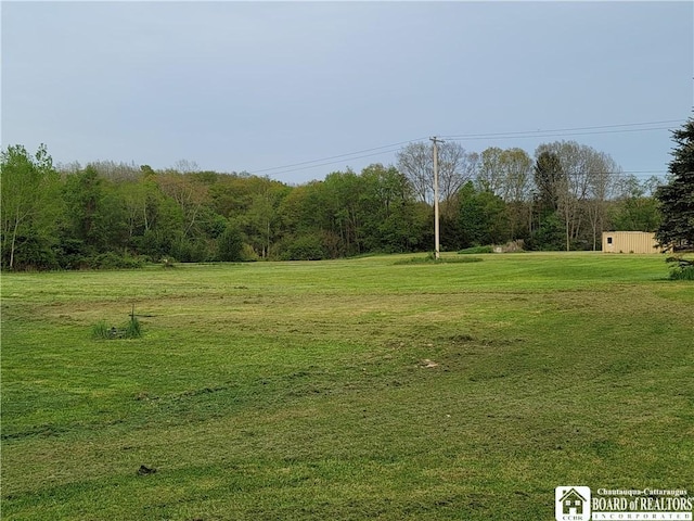 584 Warren Rd, Carroll, NY 14738 - view of grassy yard