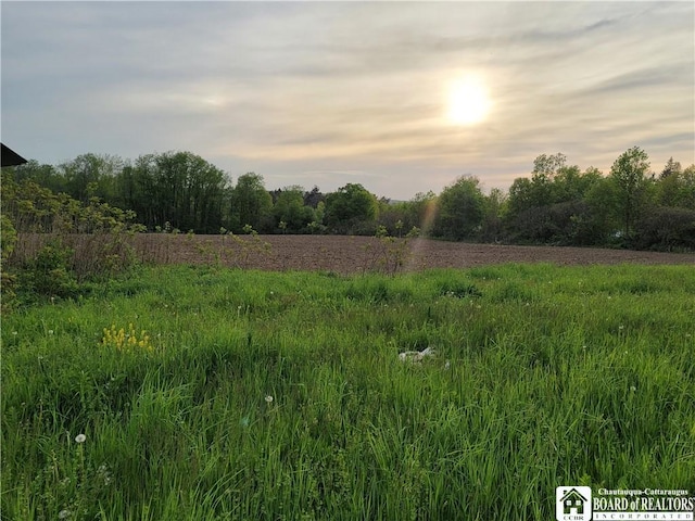 584 Warren Rd, Carroll, NY 14738 - view of local wilderness