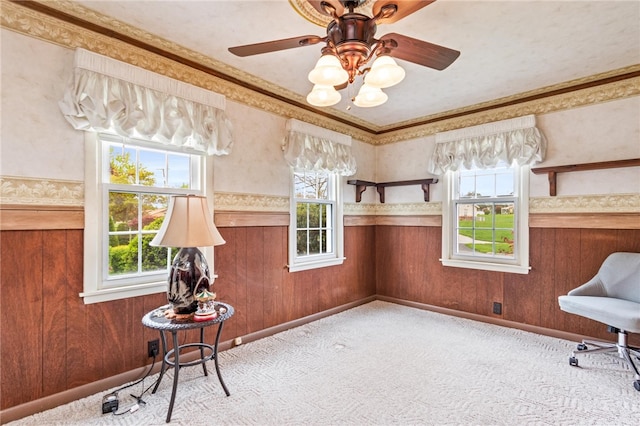187 Clark St, Canandaigua-City, NY 14424 - unfurnished room with healthy amount of natural light, a wainscoted wall, wallpapered walls, a ceiling fan, and carpet flooring
