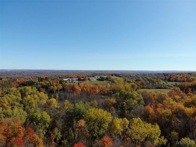 10070 Warner Gulf Rd, Sardinia, NY 14080