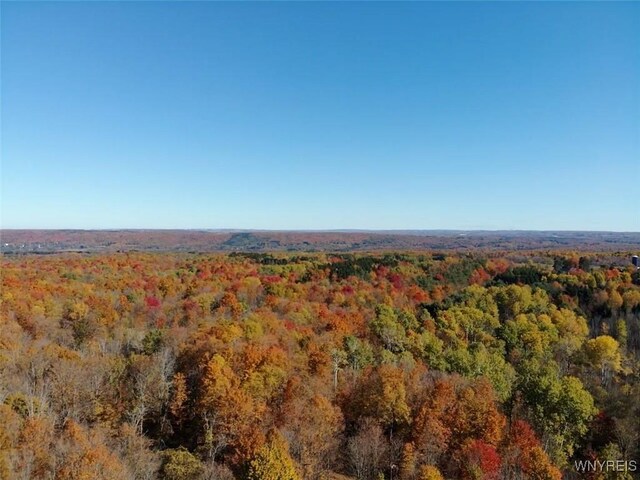 10070 Warner Gulf Rd, Sardinia, NY 14080