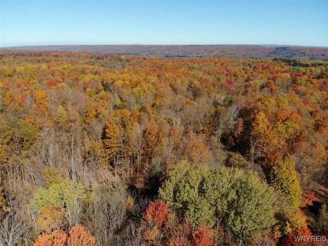 10070 Warner Gulf Rd, Sardinia, NY 14080