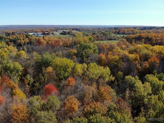 10070 Warner Gulf Rd, Sardinia, NY 14080