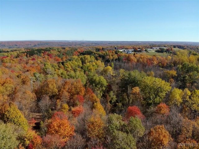 10070 Warner Gulf Rd, Sardinia, NY 14080