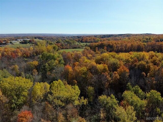 10070 Warner Gulf Rd, Sardinia, NY 14080