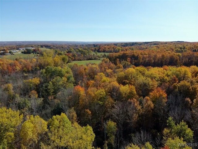 10070 Warner Gulf Rd, Sardinia, NY 14080