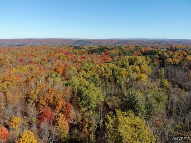 10070 Warner Gulf Rd, Sardinia, NY 14080