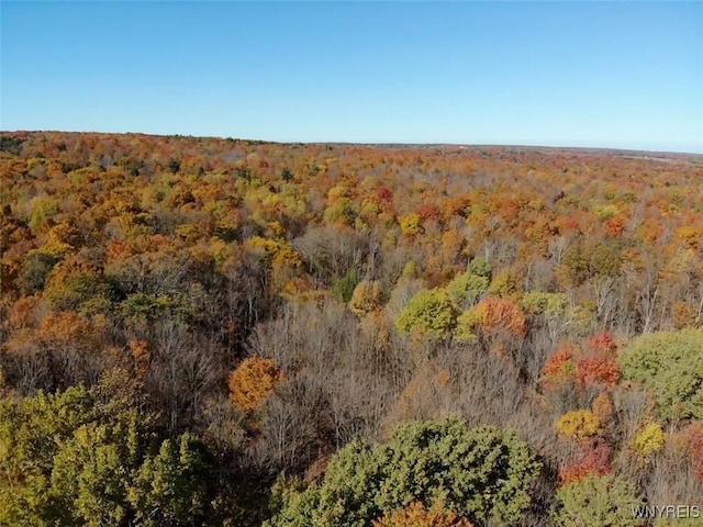 10070 Warner Gulf Rd, Sardinia, NY 14080
