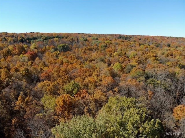 10070 Warner Gulf Rd, Sardinia, NY 14080
