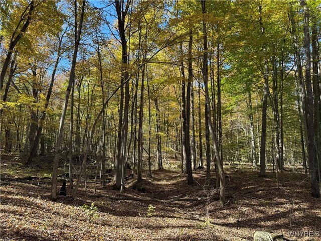 10070 Warner Gulf Rd, Sardinia, NY 14080