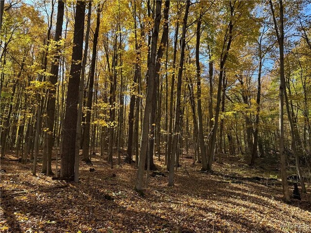 10070 Warner Gulf Rd, Sardinia, NY 14080