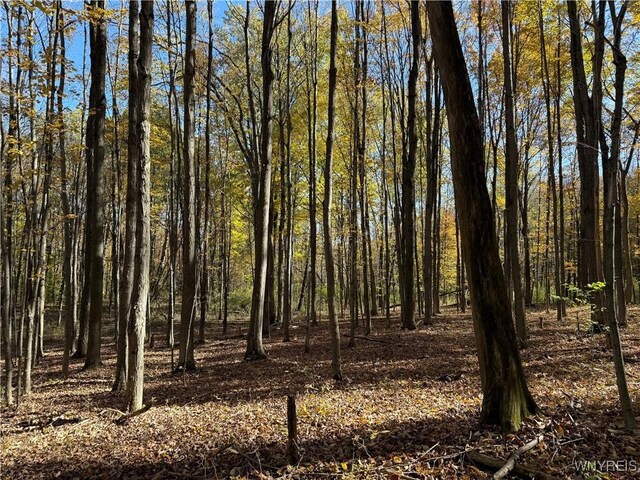 10070 Warner Gulf Rd, Sardinia, NY 14080