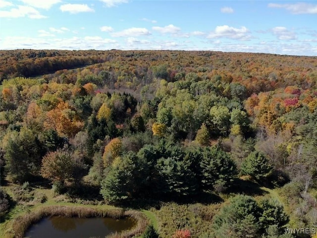 10070 Warner Gulf Rd, Sardinia, NY 14080