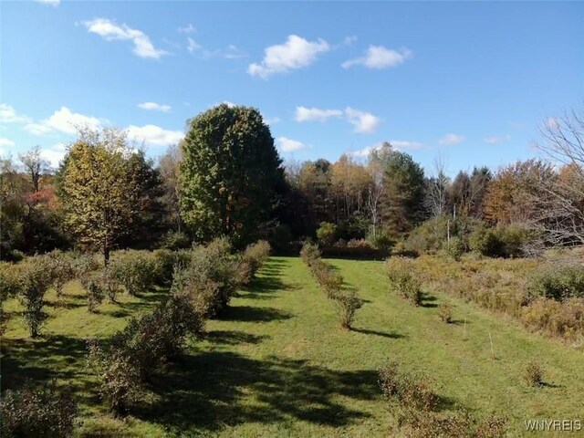 10070 Warner Gulf Rd, Sardinia, NY 14080