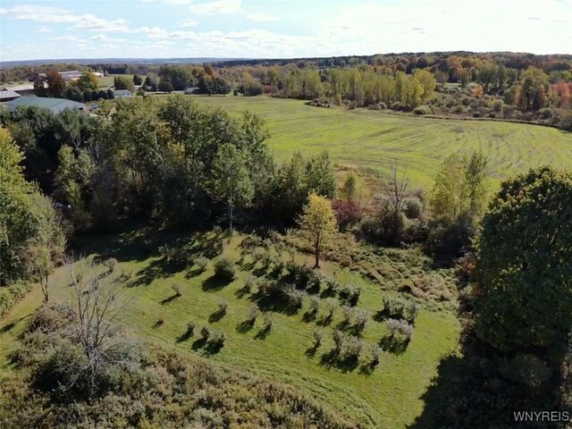 10070 Warner Gulf Rd, Sardinia, NY 14080