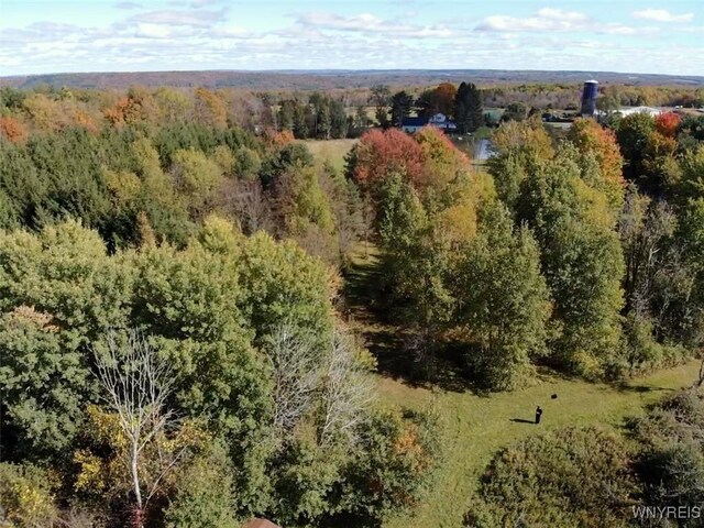 10070 Warner Gulf Rd, Sardinia, NY 14080