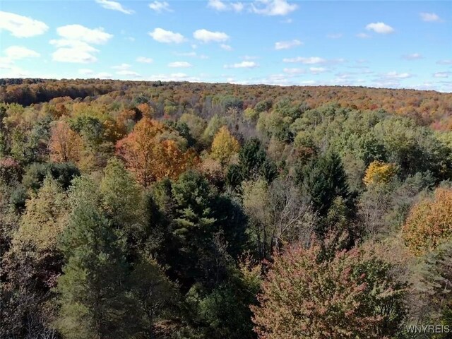 10070 Warner Gulf Rd, Sardinia, NY 14080