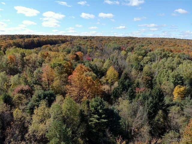 10070 Warner Gulf Rd, Sardinia, NY 14080