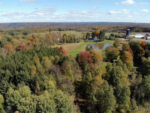 10070 Warner Gulf Rd, Sardinia, NY 14080