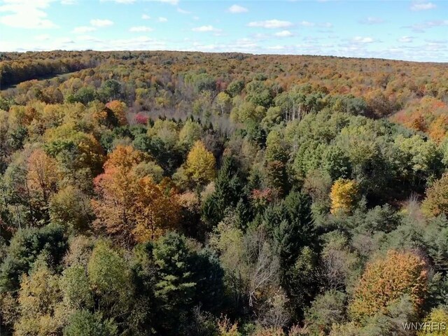 10070 Warner Gulf Rd, Sardinia, NY 14080