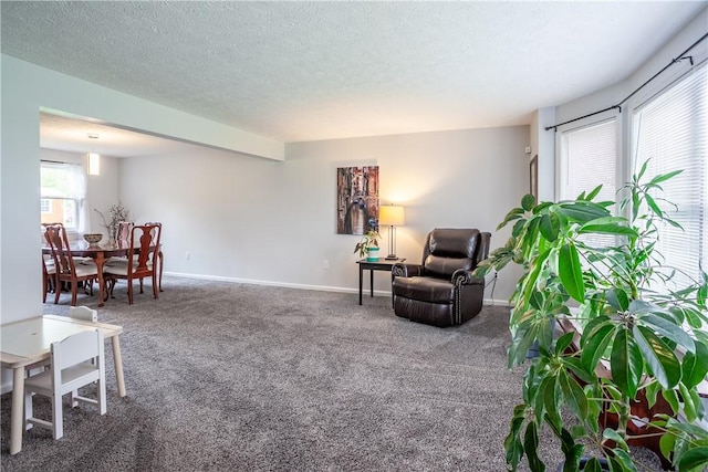 living area featuring carpet, baseboards, and a textured ceiling