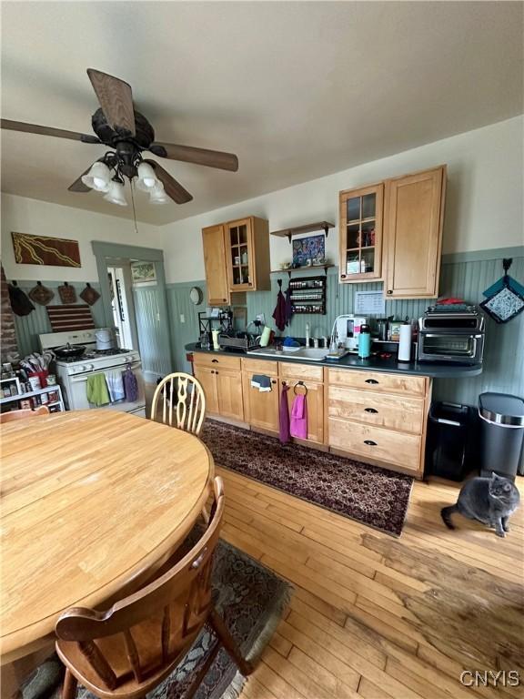 923 Teall Ave, Syracuse, NY 13206 - kitchen featuring gas range gas stove, dark countertops, a ceiling fan, glass insert cabinets, and wainscoting