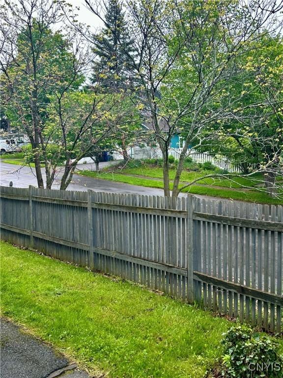 923 Teall Ave, Syracuse, NY 13206 - view of yard